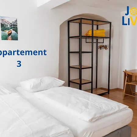 Living Instein Apartment Krems an der Donau Room photo