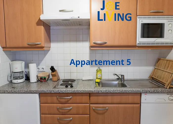 Living inStein